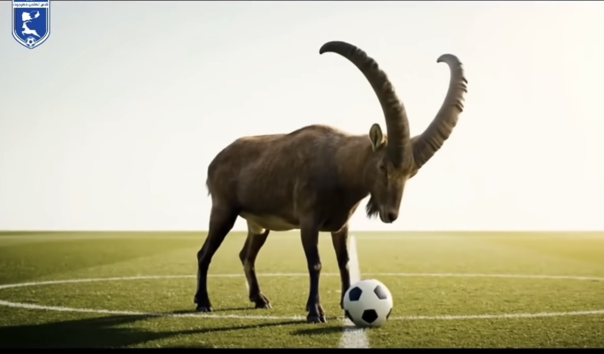 تضامن_حضرموت يطلق “آيقونة الوعل”.. تحفة فنية تعبّر عن هويته  ومشاركته التاريخية في أبطال الخليج